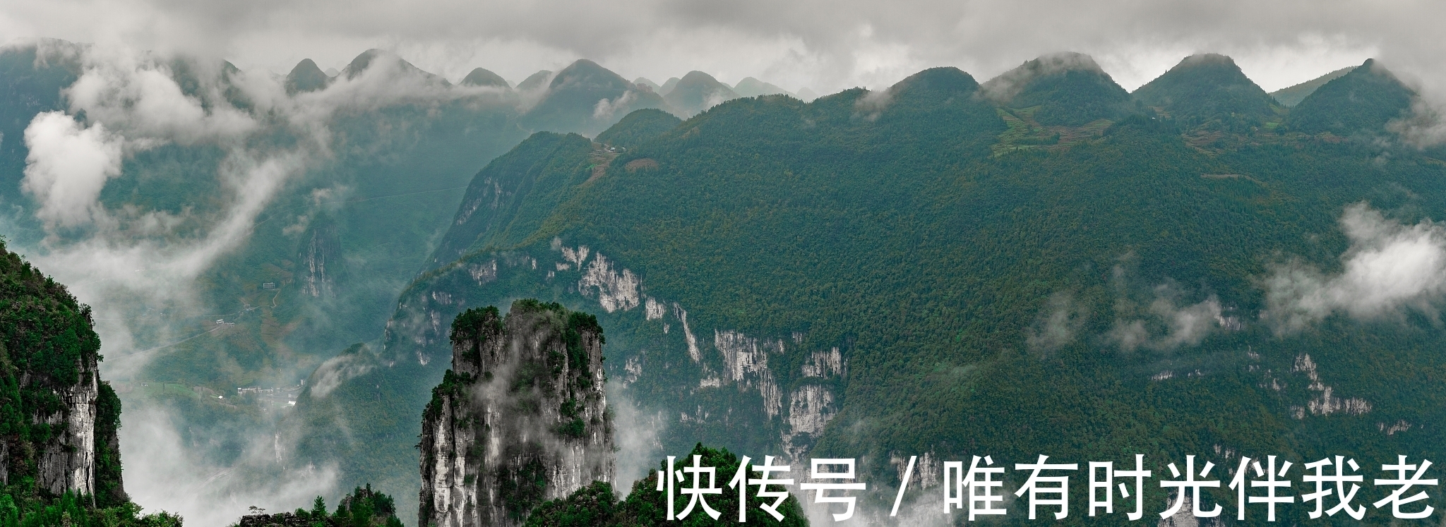 拾遗@残句拾遗:万卷诗书三尺剑,半窗风雨一池蛙