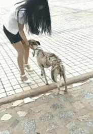 |搞笑GIF:南方来的妹子,永远不懂北方的冷