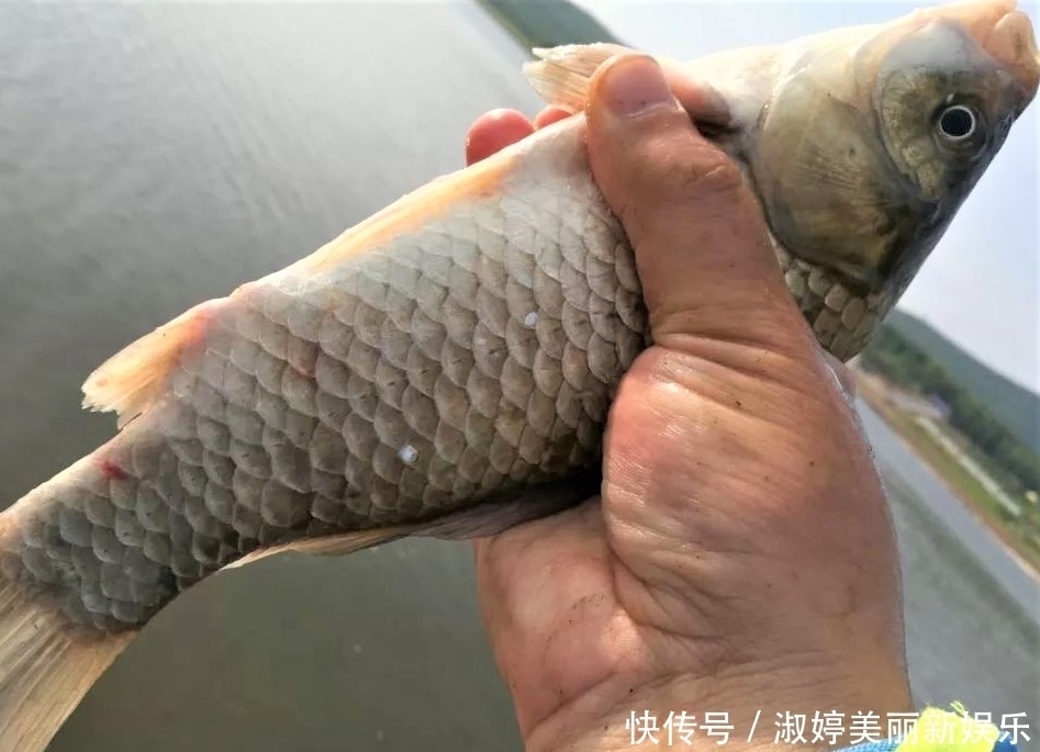 钓法|详细解读调四钓二,通过分析,才知道有些场景根本不适合调四钓二