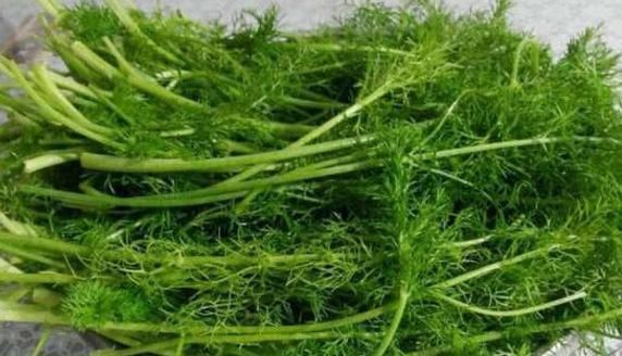 饺子|用一物包的饺子好处多多,几大养生妙用,效果让你受益无穷