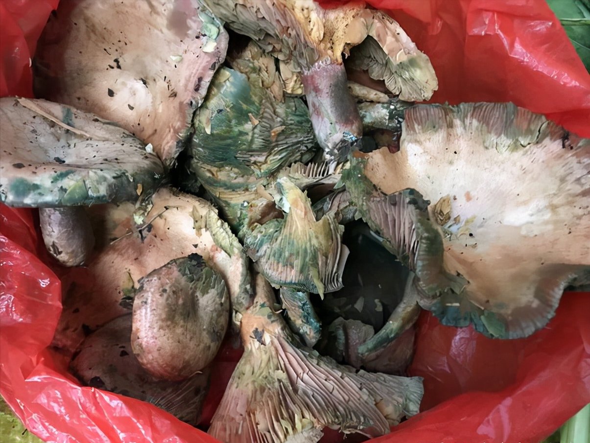 这些土货有点小贵，甜香粉糯，多吃长个不长肉，为了孩子值得买