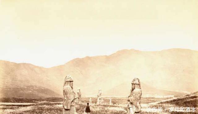 清朝|为什么朱元璋明帝陵保存较好,慈禧,乾隆的清帝陵半数被盗!