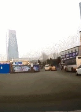 |搞笑GIF趣图:狗:小伙子有媳妇没,没有的话我给你介绍一个