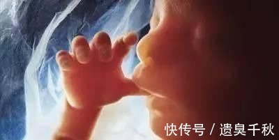 皱缩状|一组图记录怀胎十月,胎儿发育全过程,看完后,感叹生命神奇