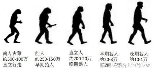 非洲大陆 地球大陆正在分裂，失落的大洲正在形成？裂缝已超过56千米！