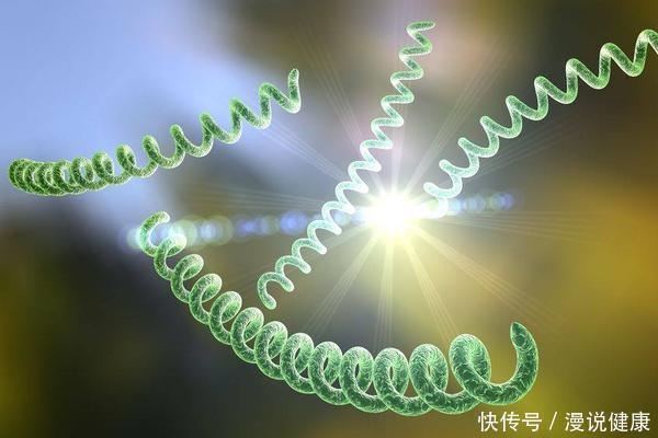 感染|感染8亿国人！幽门螺旋杆菌有多难缠？提醒：多喝1水，多吃2物