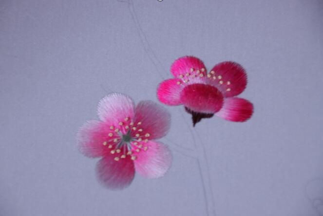  花王|【苏州】做客花王居——牟志红 指尖上的姹紫嫣红