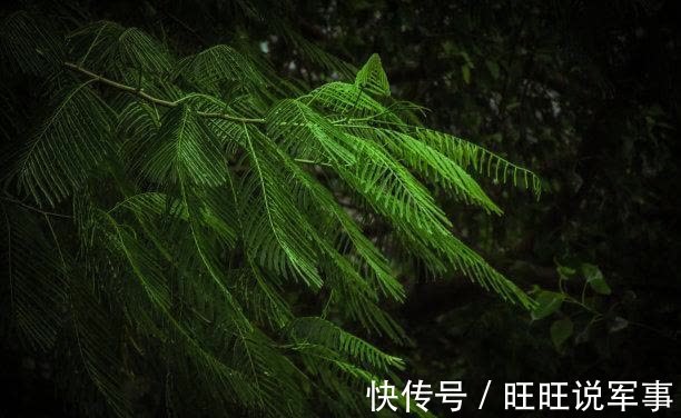 好运|7天后，好运降临，旧爱归来，等到旧情，感动前任，共度余生