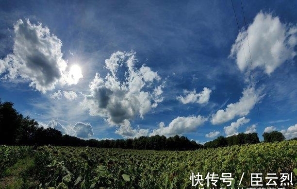 前任|2天后,爱错了人,姻缘再续,事业提升,异常激动,终拥前任入怀