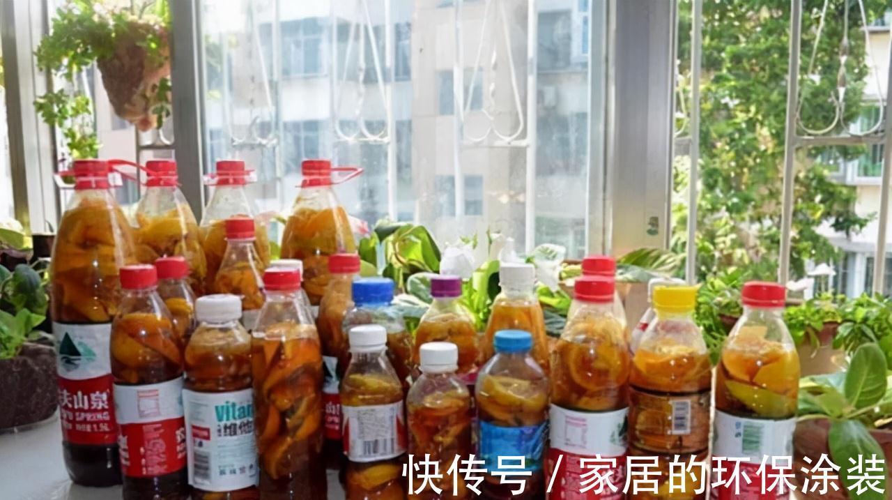 花肥不用买，在家自己做，“垃圾”桶里泡一泡，浇花大爆棚