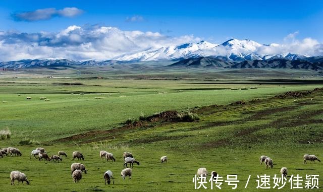 龙羊峡|高原散记，漫步在雪山峡谷之间