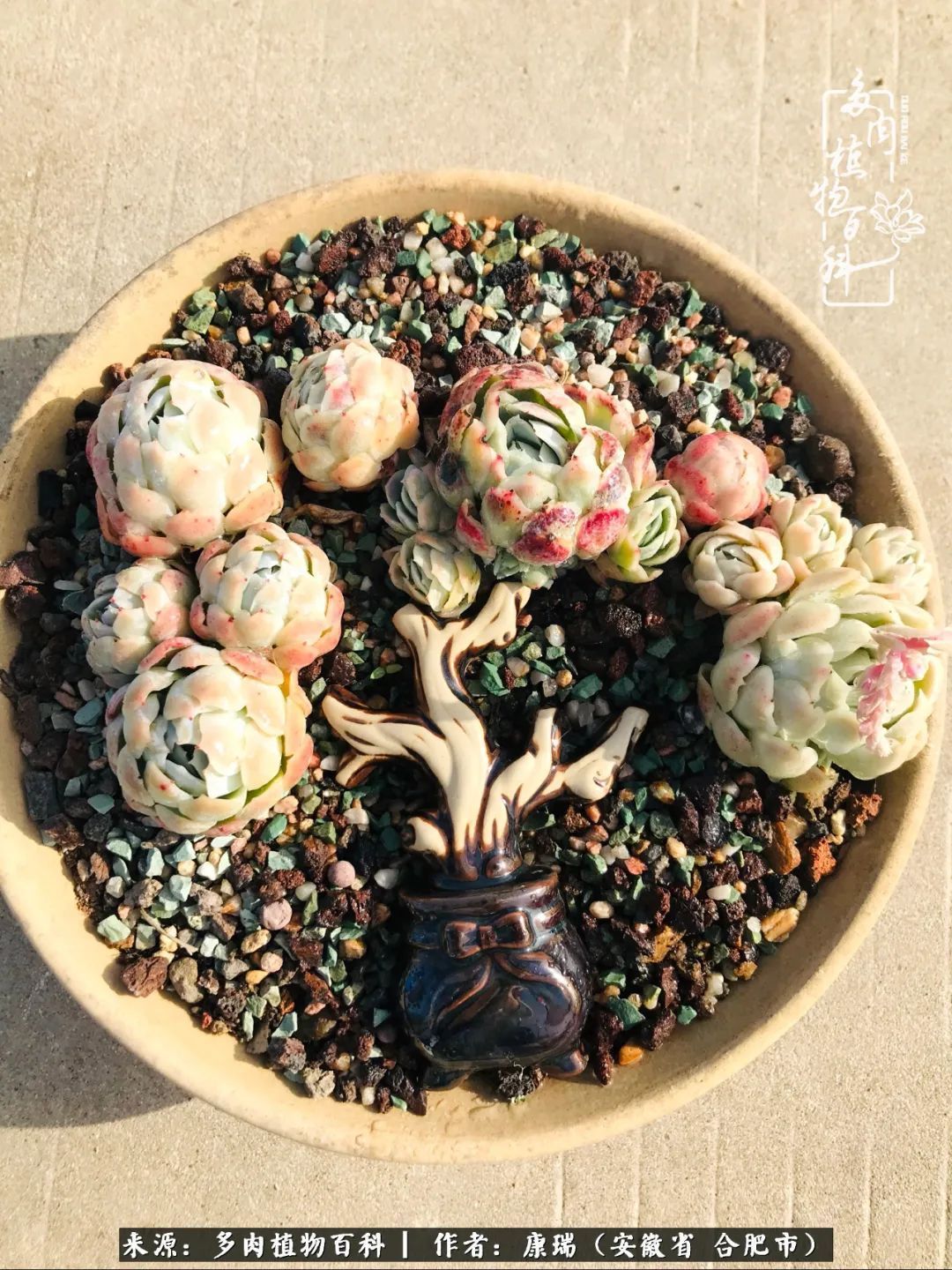 养肉之路,道阻且长,累的是身体,净的是心灵!