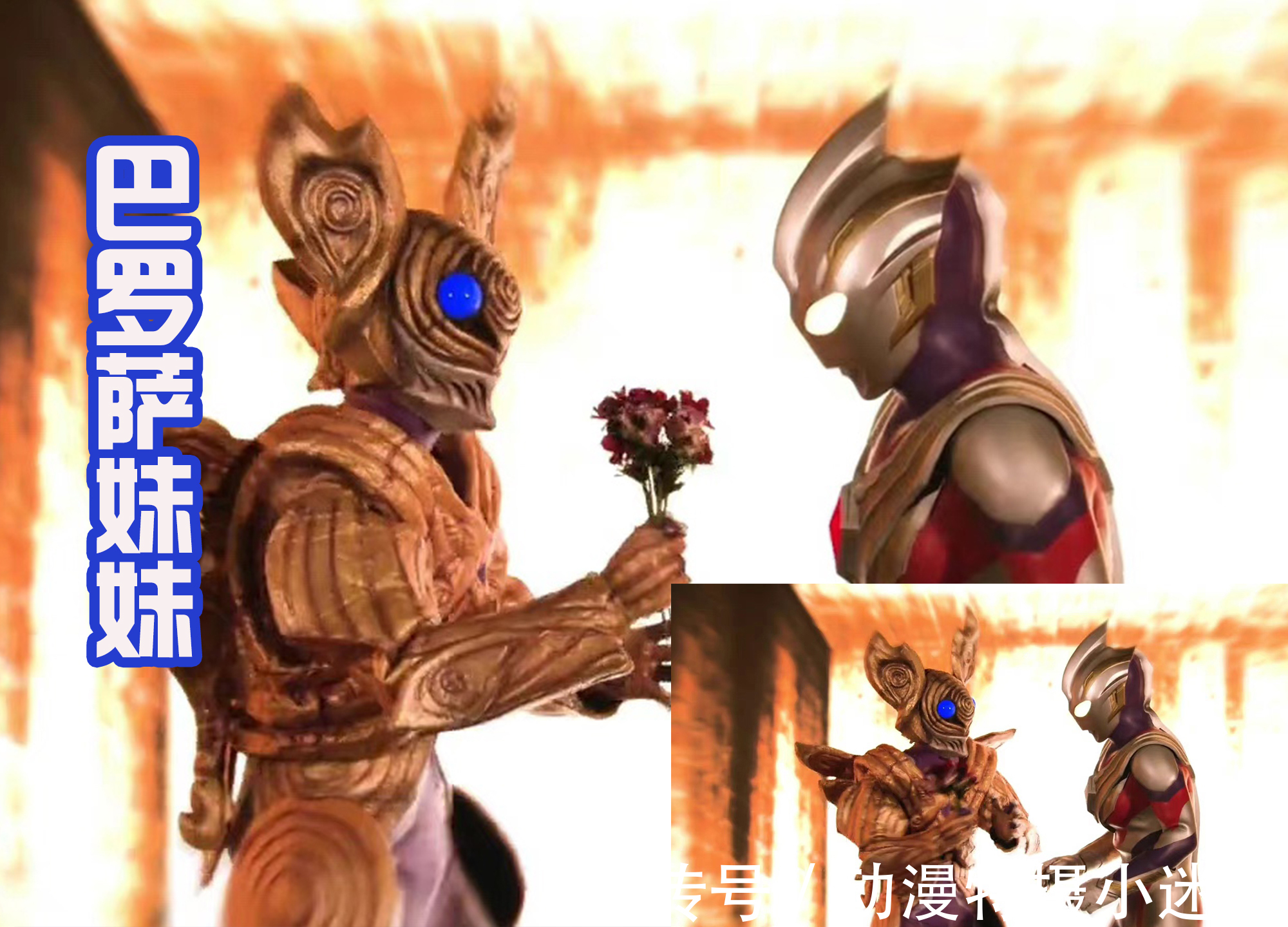 达贡|超古代秘宝之战,特利迦还收获一位小迷妹,她是巴罗萨星人,有趣