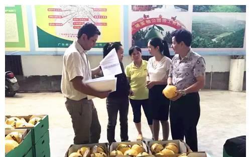 西瓜|3种水果被誉为“烂脾胃王”,孩子常吃?或许脾胃“破烂有洞”