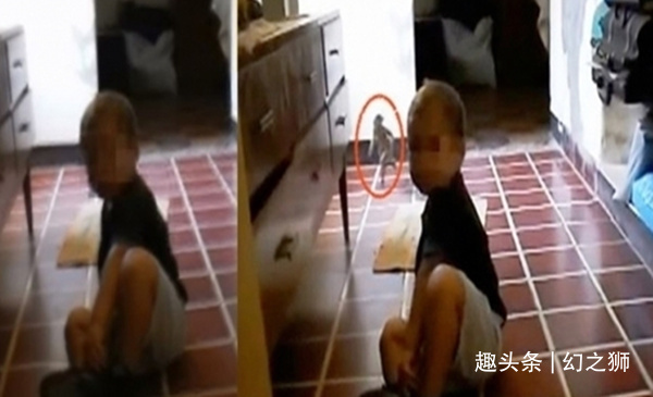 夏娃|传说中的“精灵”真的存在或许是世间罕有的一种生物