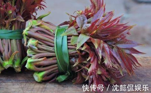 常吃|夏天养生好时机,推荐常吃4野菜,补血益气,延缓衰老,好处多多