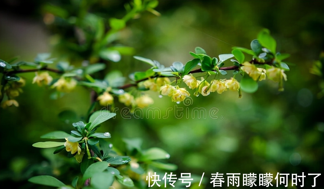 缃帙乱!一窗冷雨,一枕新凉,谁看尽旧时书,谁洒尽今生泪