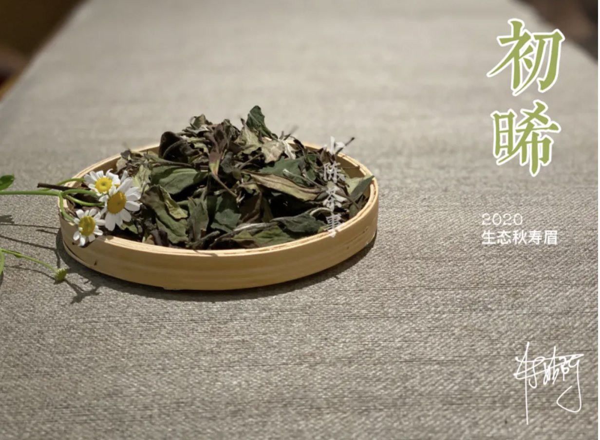 判断|从白毫银针、白牡丹到寿眉，村姑陈传授，判断白茶品类的技巧