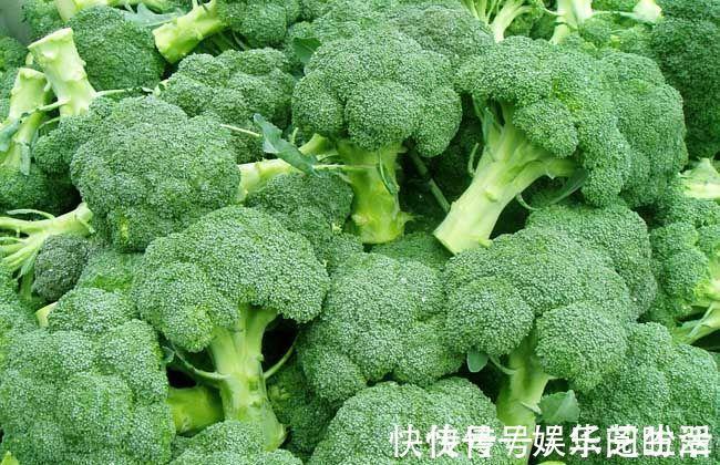 营养成分|西兰花和此物一起吃,肠胃消化功能恢复,免疫功能更强!