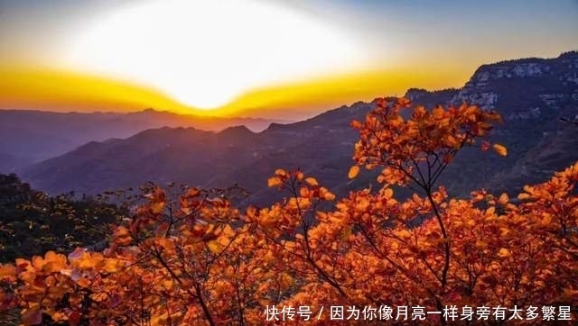 步行街|美翻!淄博还有这么一个“小而美”的地方,等你去发现!