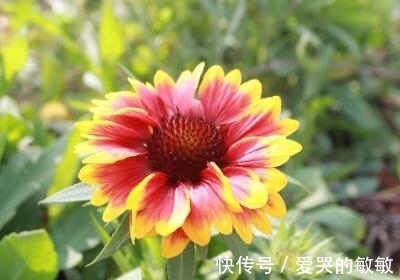 生肖|9月30日前,四生肖财运大涨,吉星高照,生活顺风顺水,好运不断