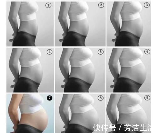 纯牛奶|孕妇喝牛奶好，还是喝酸奶好，两者有什么区别，该怎么挑选？