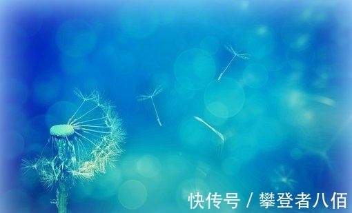 意外之灾|3天内，红线已断，永不离，余情未了，渐入佳境，携手永不散