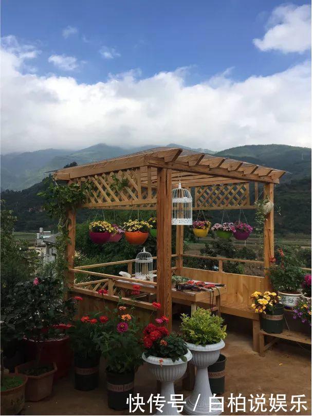 女婿|女婿在楼顶养多肉，村里人都跑来参观，丈母娘高兴坏了！