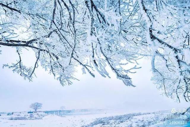 童话|冰天雪地，童话吉林