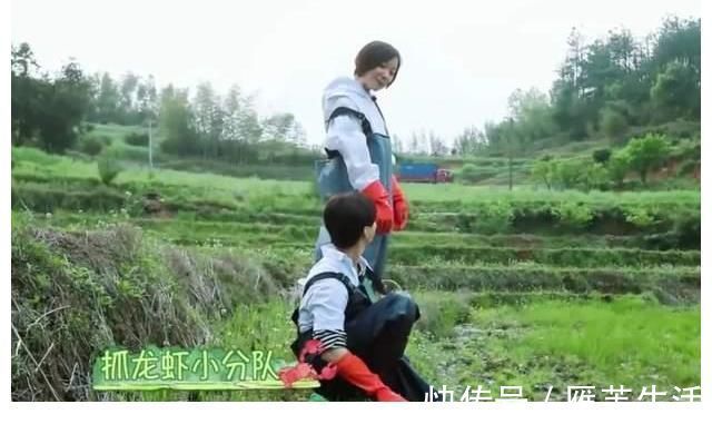 波士顿龙虾、鲍鱼鸡汤,《向往的生活》豪华食材背后田园是假象?