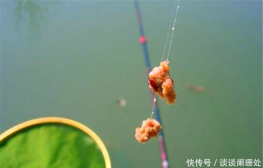 长尾|浮漂长尾、粗尾、软尾,这些漂尾“奇特”的浮漂,调漂用不同方法