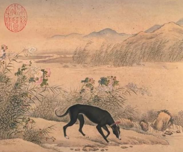 出能|俗语“宅子现四喜,家中出能人”,你知道“四喜”指的是什么