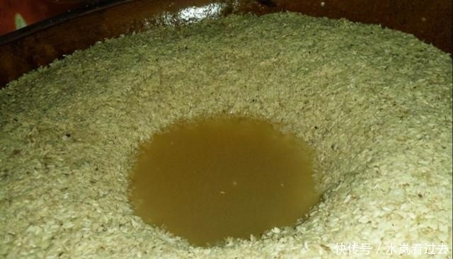 农业|神仙大历史(九)神农石年出世,发现百谷的历史,农业改变了世界