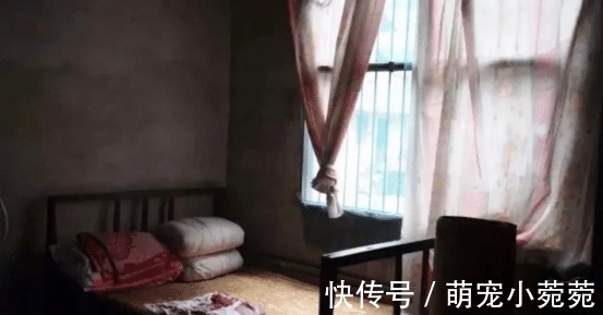 刘翔|奥运冠军被网暴“滚出中国”,背后的残忍你想象不到
