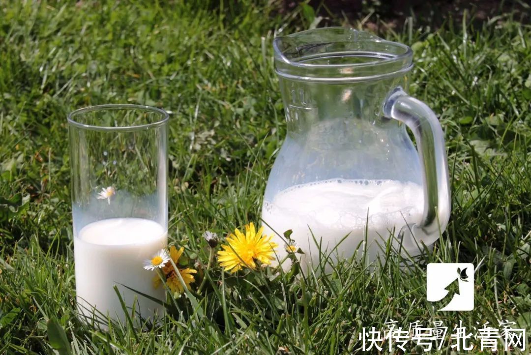牛奶|喝牛奶时千万别吃它，对身体有大危害