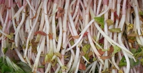 食物|女性不想顯老，多吃3種食物，排毒消脂，補血潤膚，延緩衰老