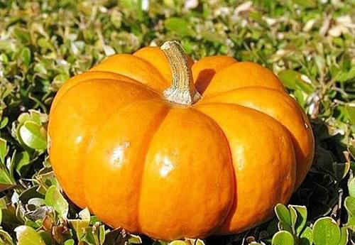 对身体很好的3种食物，常吃一些，排毒抗衰，疏通血管，好处多多