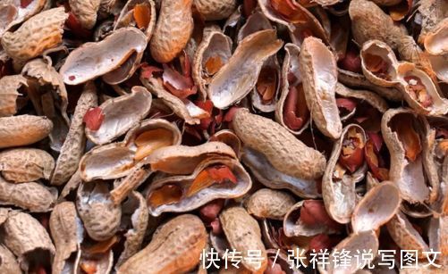 花生|我们吃花生丢掉壳不要丢,它在养花方面起着重要的作用。