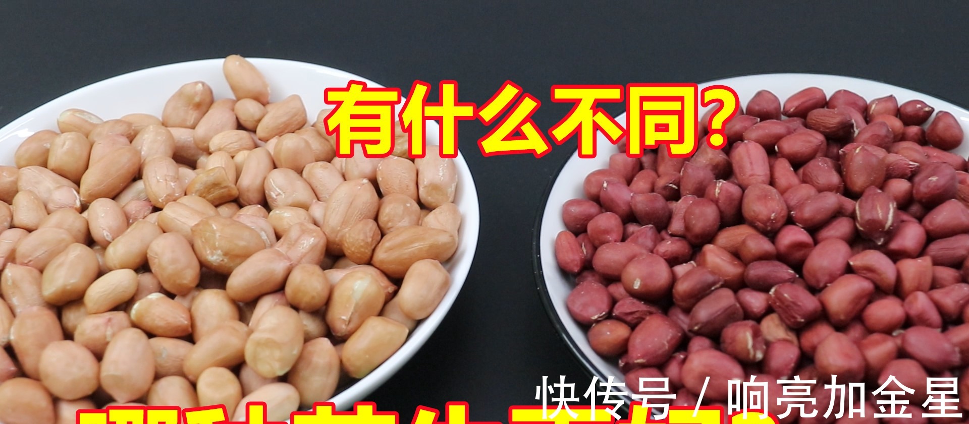 小白点|红皮花生米和白皮花生米,哪一个更有营养好多人不懂,长见识了!