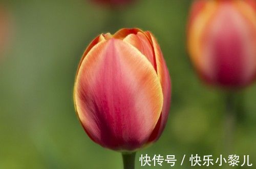 虎年|虎年比牛年更富,赚钱数字有增无减,生活不再有苦难言的生肖