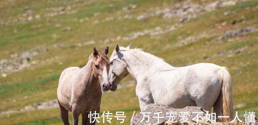 造反!史上最牛文盲皇帝,一辈子作一首诗,24个字,流传千年不衰!