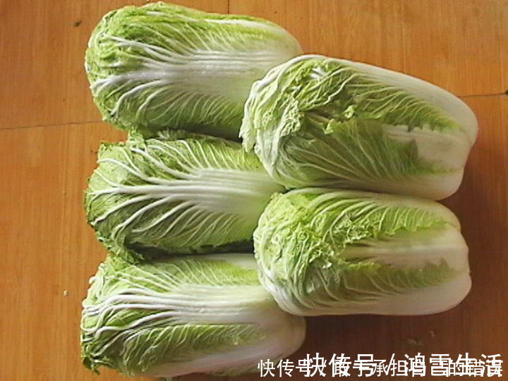 含有|2块一斤的“大白菜”,“最便宜”的养生食材,具有的好处太多