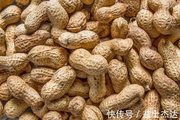 食物|大脑最爱的食物，竟然不是核桃，完全没想到~