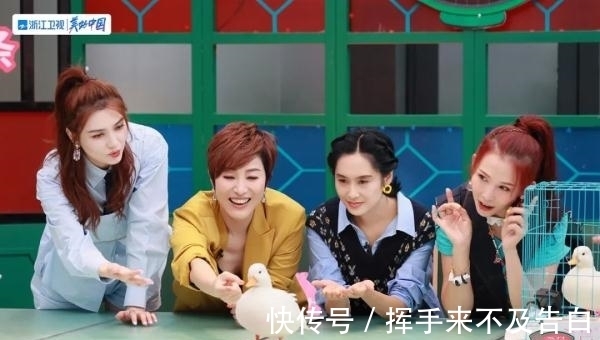 董岩磊|《请吃饭的姐姐》“新客”打破餐厅宁静,蔡少芬大秀厨艺亮招牌菜