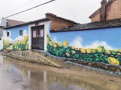 打卡$来吧 55名大学生用笔画出隆化美景和故事打卡西头营村