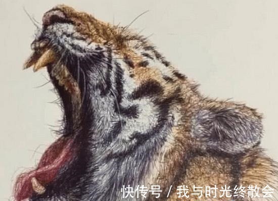 美术生们#美术生用圆珠笔一通乱画,看到最后成品,网友大佬都是乱中有型!