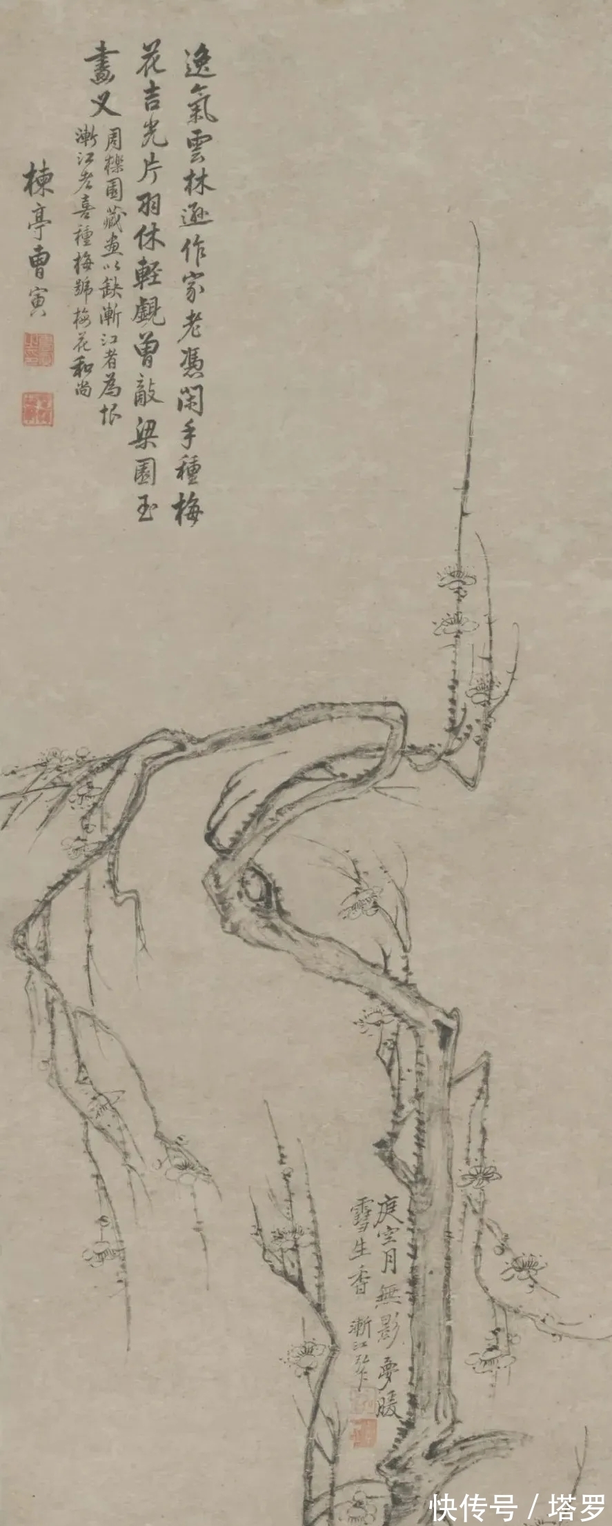 冰心!他的山水画面貌来源于铁骨冰心的梅花|渐江画梅