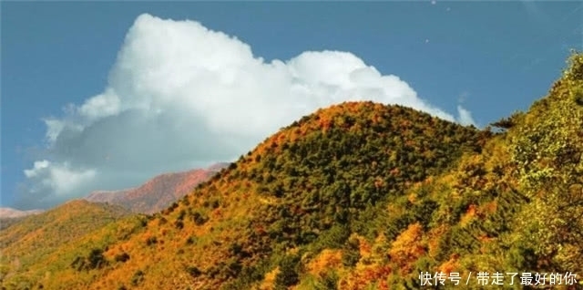 秋日读诗：繁霜尽是心头血，洒向千峰秋叶丹