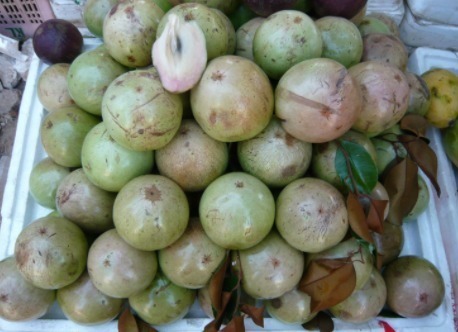 牛奶果|女性常吃此果,子宫干净了,远离妇科炎症,不想肌肤粗糙可以试试