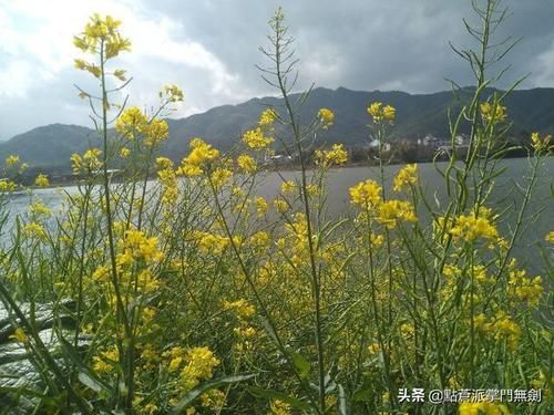 春节行程--大余县游仙村